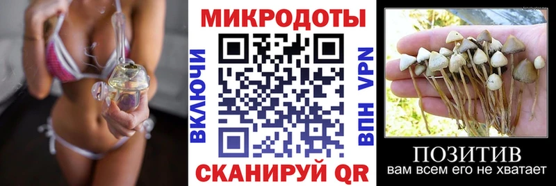 Купить  Камызяк  Галлюциногенные грибы MAGIC MUSHROOMS 